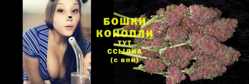 купить   Бокситогорск  Каннабис SATIVA & INDICA 